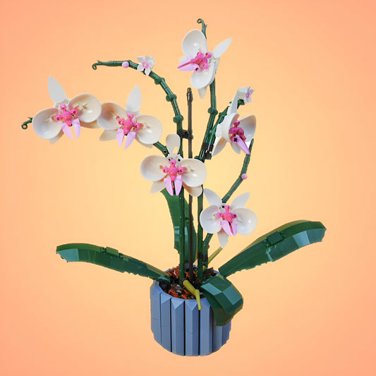 The Orchid Pot